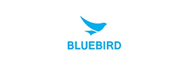 bluebird